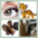 Level 13 Answer 8 - Eye Of The Tiger