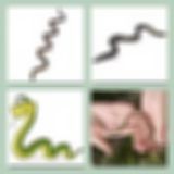 Level 31 Answer 1 - Slither