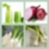 Level 43 Answer 14 - Green Onions