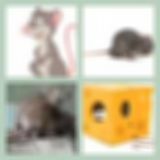 Level 44 Answer 15 - The Rat