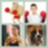 Level 5 Answer 7 - The Boxer