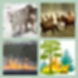 Level 60 Answer 9 - Wildfire