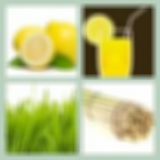 Level 73 Answer 12 - Lemon Grass