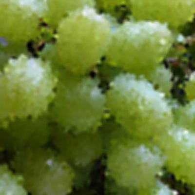 Level 4 Answer 2 - grapes